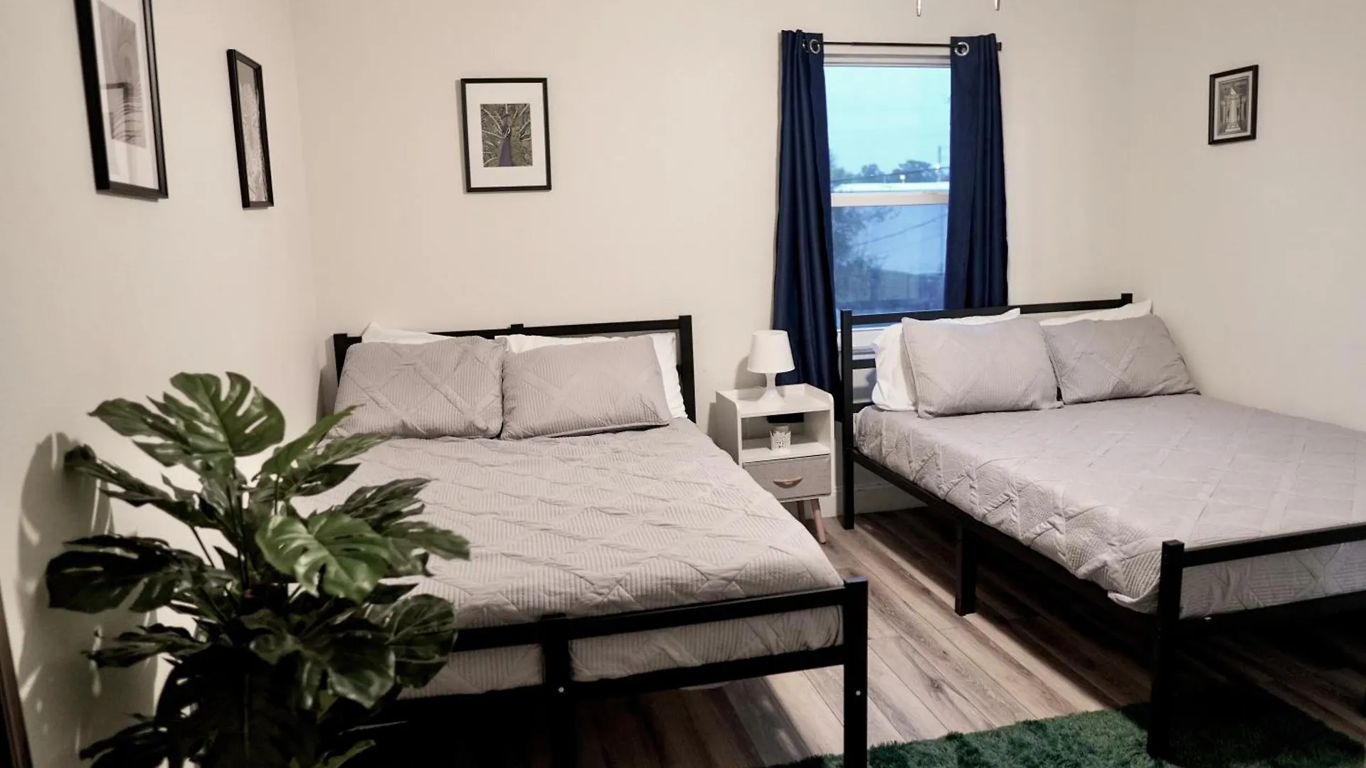 Jay'S Cozy Escape Apartman Tampa